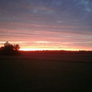 Meet your Posher, Quintin